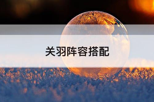 关羽阵容搭配
