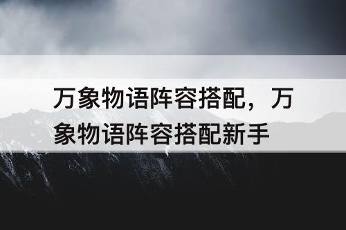 万象物语阵容搭配，万象物语阵容搭配新手