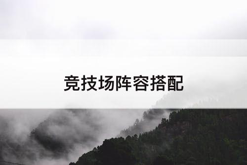 竞技场阵容搭配