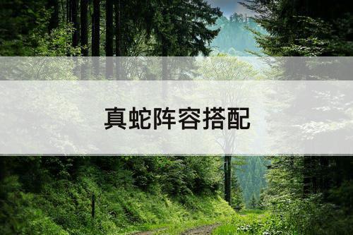 真蛇阵容搭配