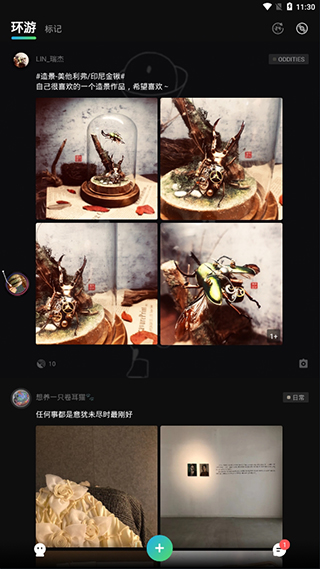岛手机版  v0.2.6.192图1