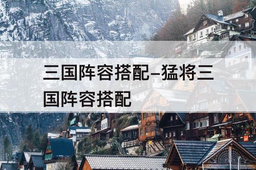 三国阵容搭配-猛将三国阵容搭配