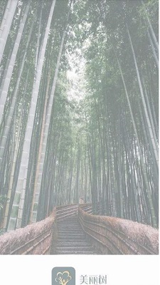 美丽树安卓版
