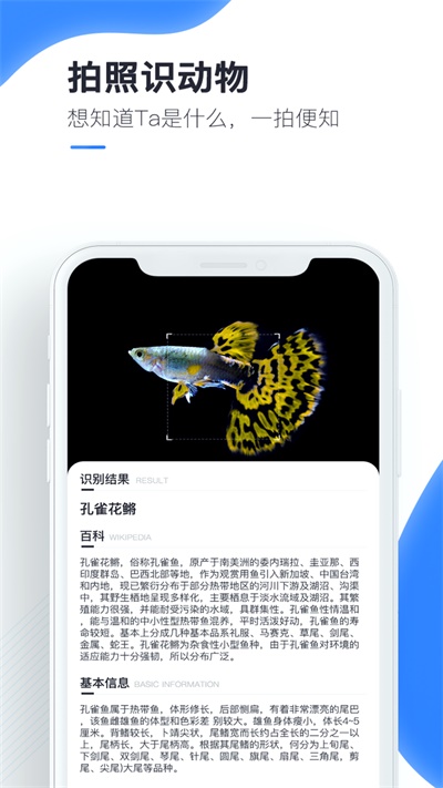 百科扫描王破解版下载最新版本安装  v1.0.0图1