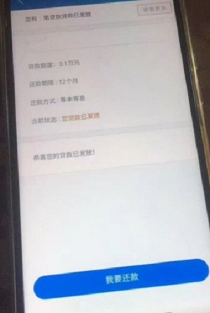 金蝶效贷下载