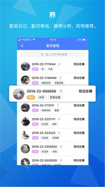 天下鸽谱app  v1.1.5图1