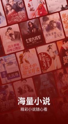 皮皮免费小说app  v2.1.2图3