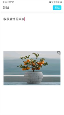 彩凤交友免费版下载安装