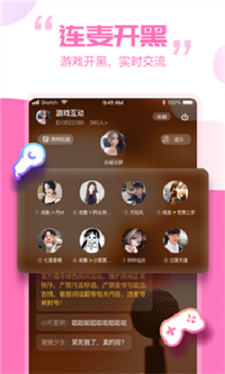 笨笨交友最新版下载安装