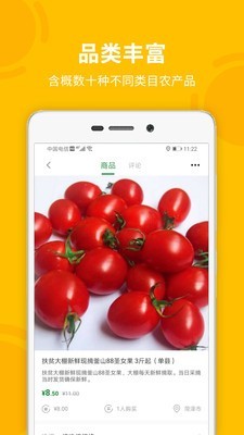 菏菜壹号  v1.1.1图1