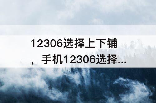 12306选择上下铺，手机12306选择上下铺技巧代码