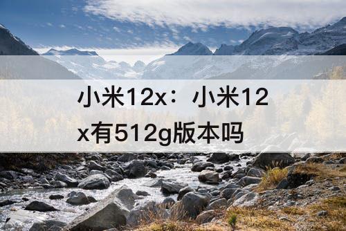 小米12x：小米12x有512g版本吗