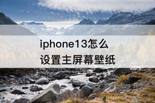 iphone13怎么设置主屏幕壁纸