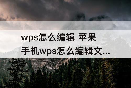 wps怎么编辑 苹果手机wps怎么编辑文件