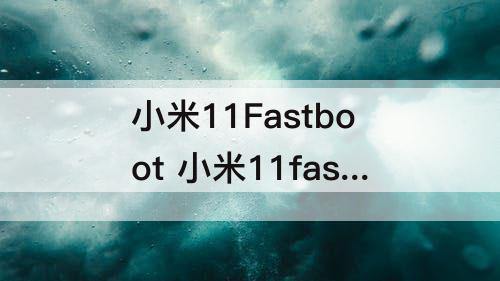 小米11Fastboot 小米11fastboot退不出去