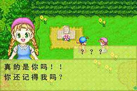 牧场物语加强版  v1.2图2